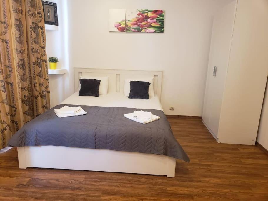 Studio Sforii In Brasov Ris Accommodation Екстериор снимка
